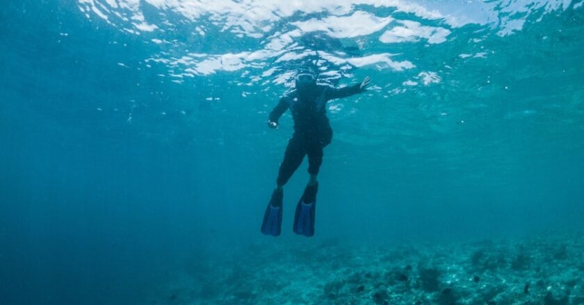 The Top Products You Need For Your First Diving Experience