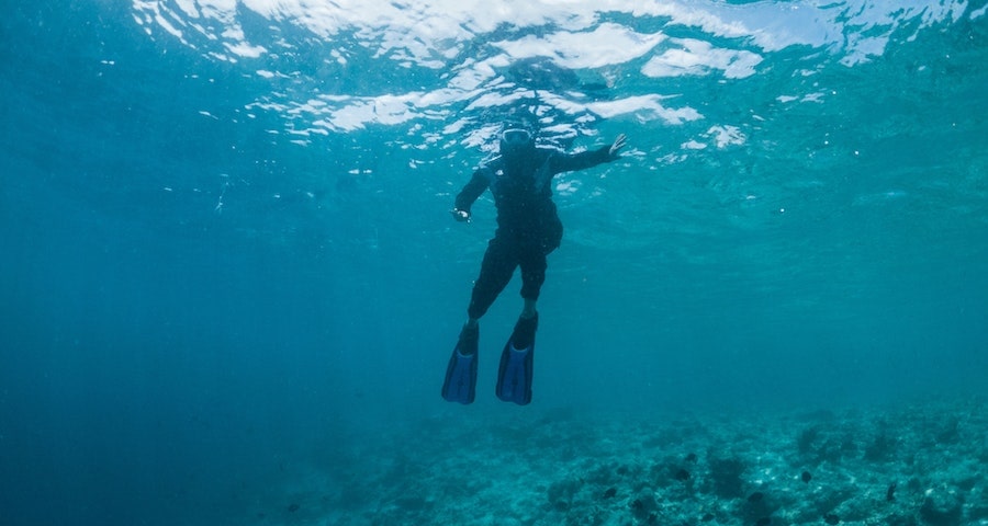 The Top Products You Need For Your First Diving Experience