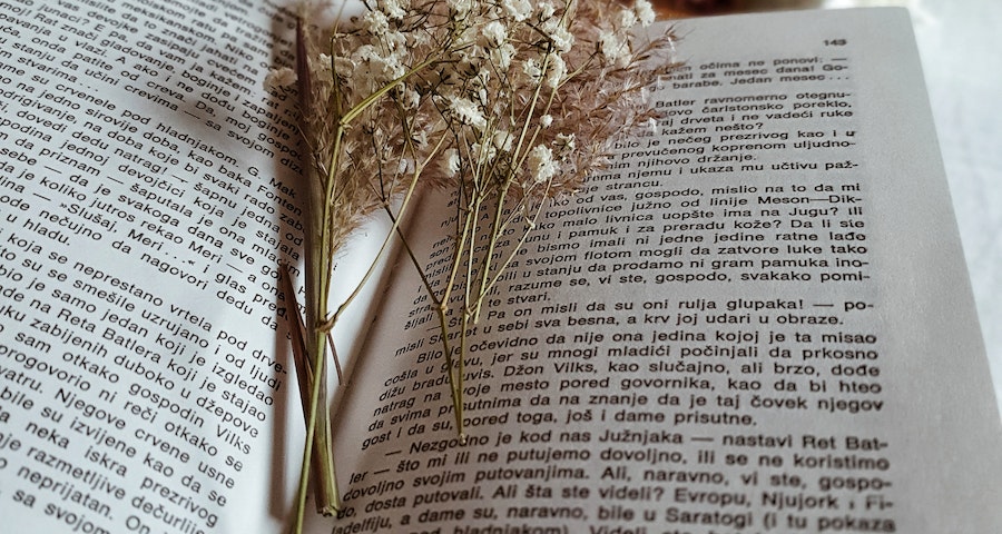 Top Tips For Choosing A Romantic Novel To Read