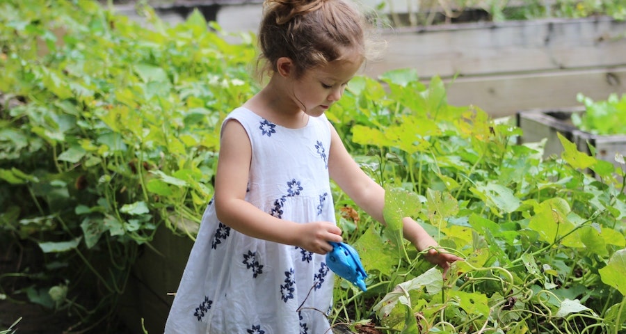 Reasons Why Gardening Is Good For You