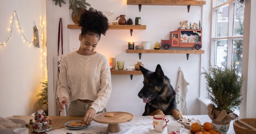 The Unique Features of German Kitchens