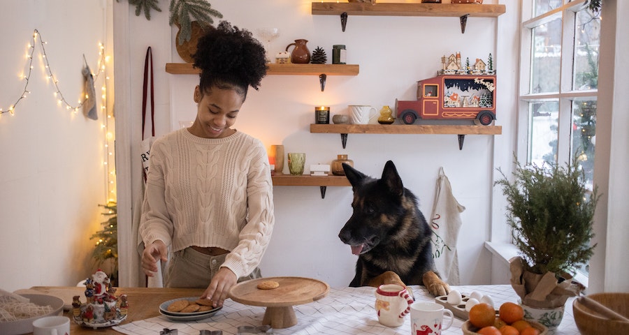 The Unique Features of German Kitchens