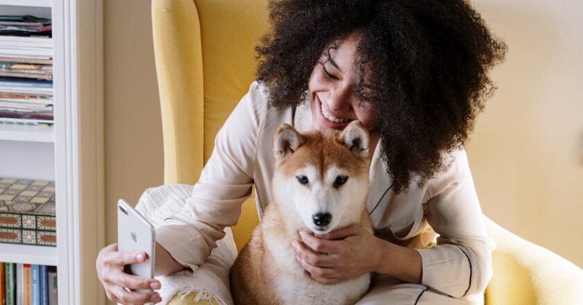 The Wonders Of Portable Dog Kennels – Keeping Your Furry Friend Safe and Happy While on the Go