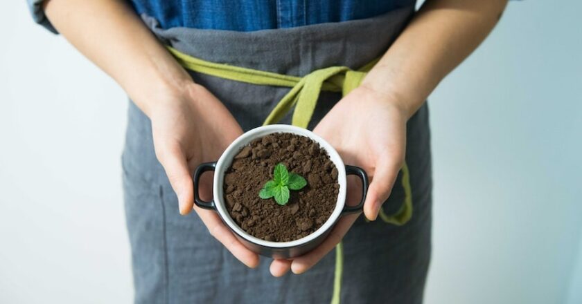 4 Ways to Live More Eco-Friendly