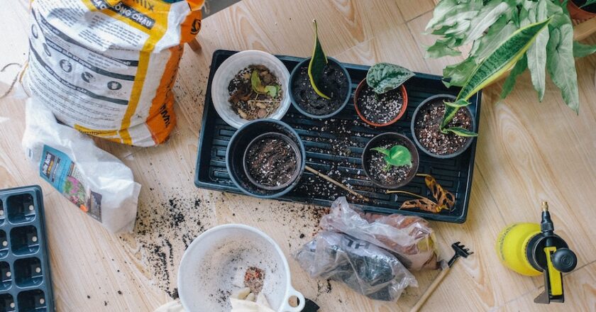 7 Tips For Gardening In Small Spaces