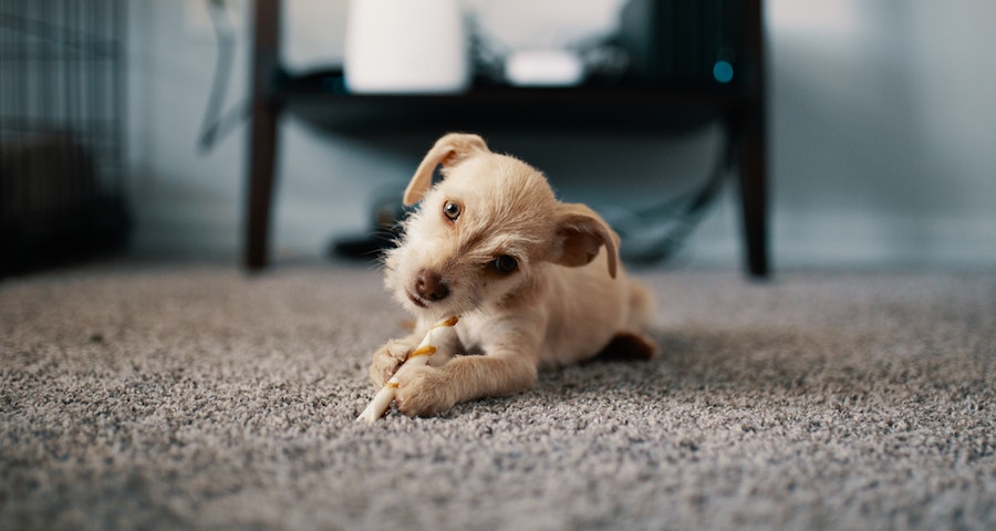 The Ultimate Guide To Installing Underlay For Your Carpet Tiles