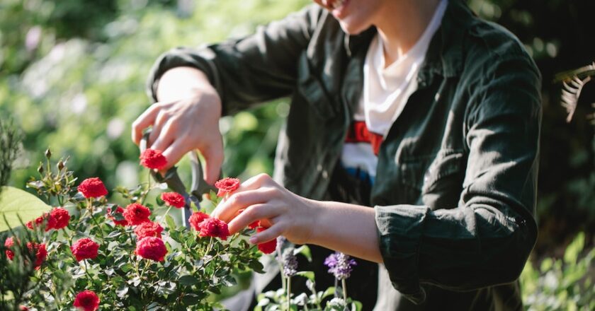 Four Essential Yard Care Tools For Homeowners