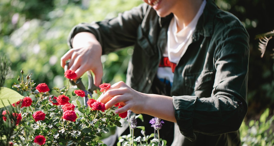 Four Essential Yard Care Tools For Homeowners