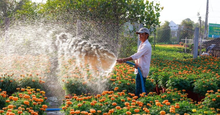 Understanding The Difference Between A Farmer And A Gardener