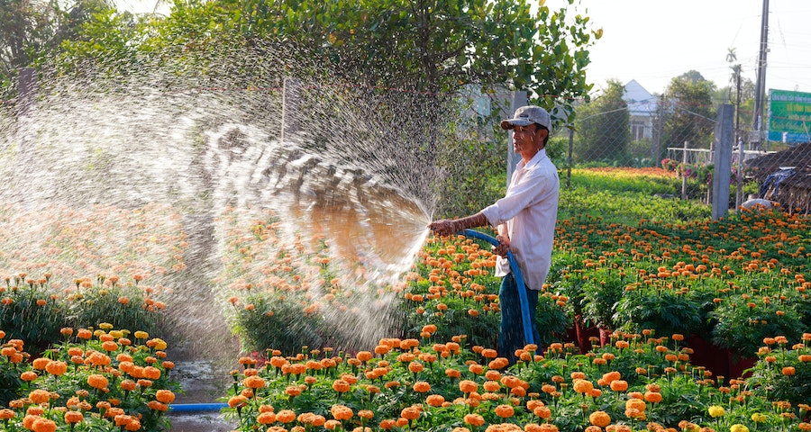 Understanding The Difference Between A Farmer And A Gardener