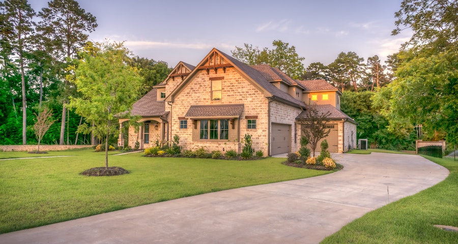 Why Big Trees Next To Your Home Can Cause Issues