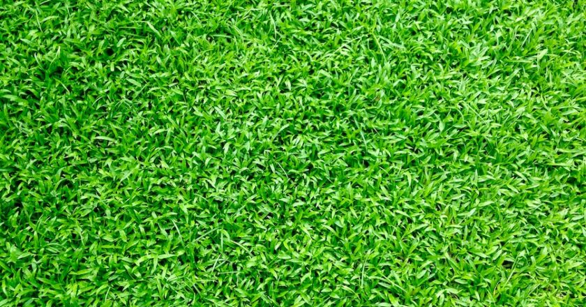 Your Complete Guide To Artificial Grass And Lawns