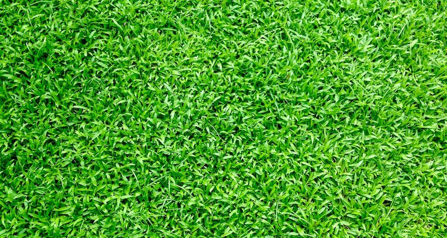 Your Complete Guide To Artificial Grass And Lawns